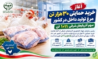  آغاز خرید حمایتی ۳۰ هزار تن مرغ تولید داخل در کشور